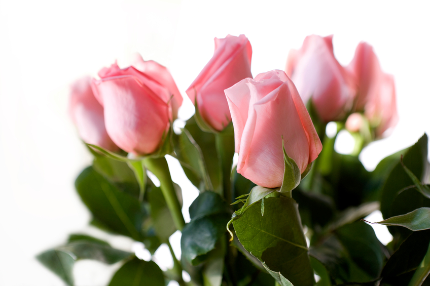 The Sweetest Romances Bloom with Gifts from FTD