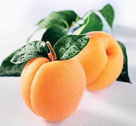 apricots