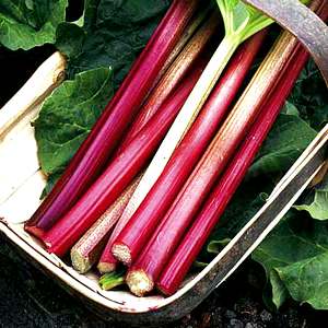 Spring Produce: Shop Smarter