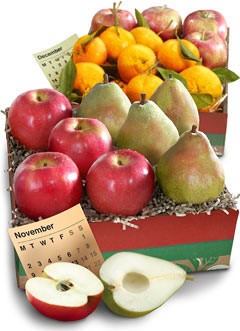 fruit