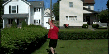 giphy-6