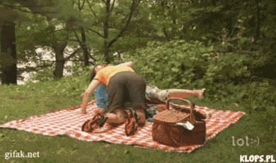 picnic2