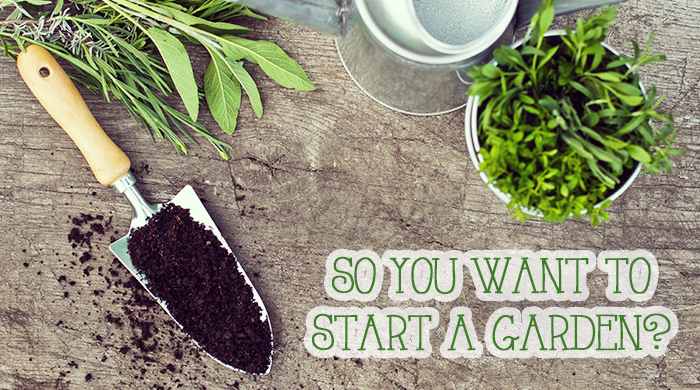 Gardening Tips for Beginners