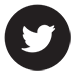 icon_twitter