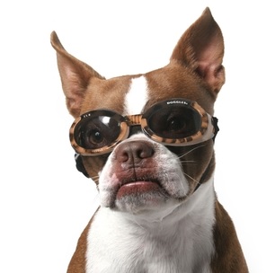 doggles