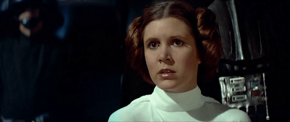 Princess Leia GIF