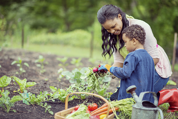 A mother and her son are kneeling next to their vegetabel garden and are holding their freshly picked produce, next to them is a basket full of vegetables and a watering can.