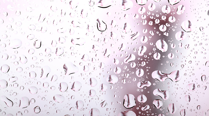 Shower Curtains to Ring in Spring