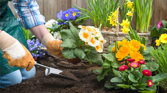 How to Revamp Your Home Decor and Garden on a Budget