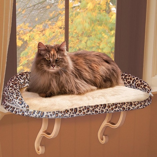 Cat window perch
