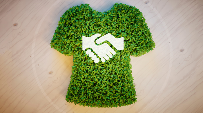 Sustainable Shopping Guide: 6 Cash Back Stores You Need to Know