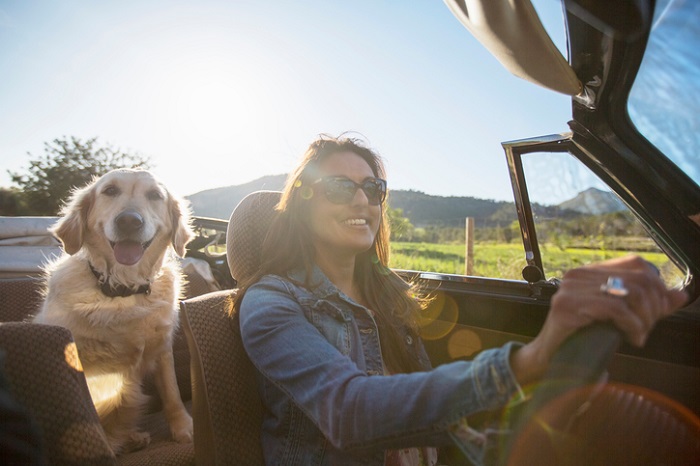 Mature woman and dog, in convertible car
