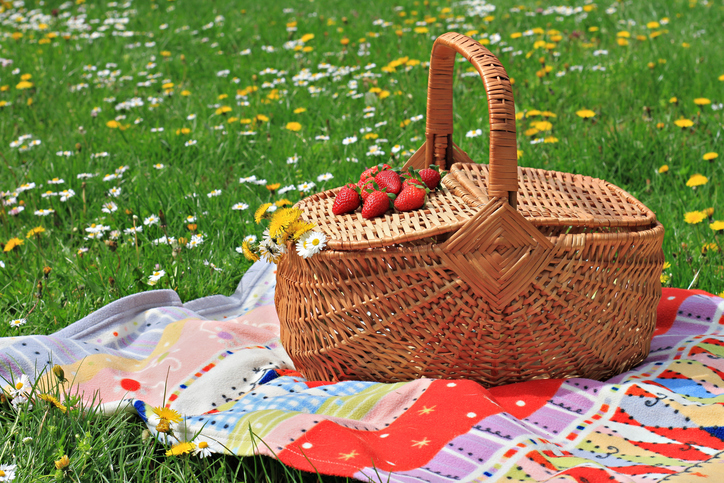 How to Plan the Best Summer Picnic without Breaking the Bank