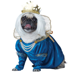 California Costumes Queen of Bones Dog Costume