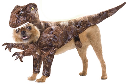 Raptor Dinosaur Dog Animal Planet Pet Halloween Costume