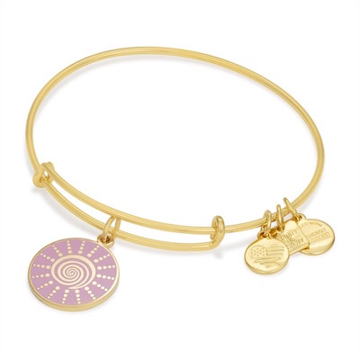 Alex and ani spiral charm bangle