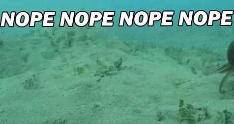 Octopus nope running away GIF