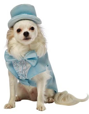 Dumb And Dumber Harry Dunne Dog Costume, $23.86