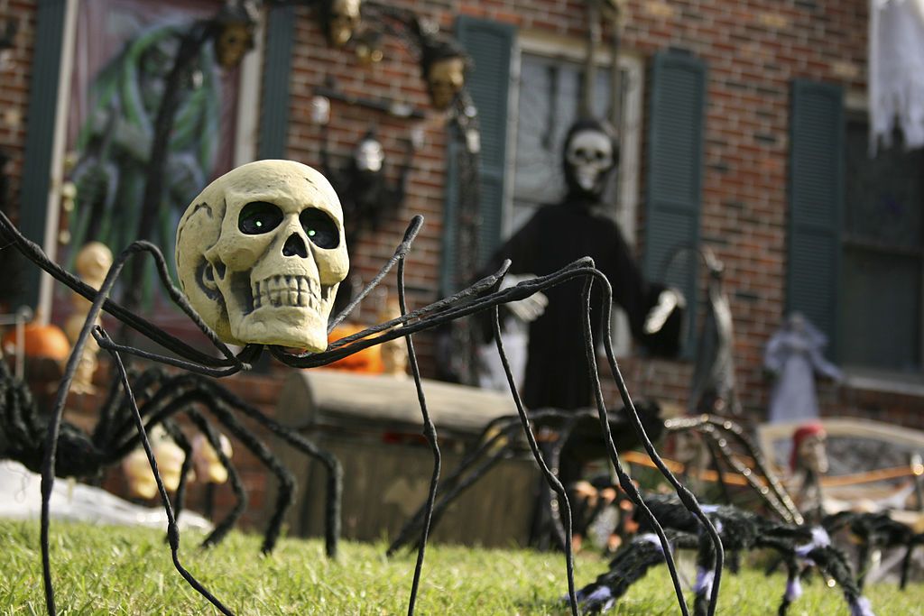 skull spider