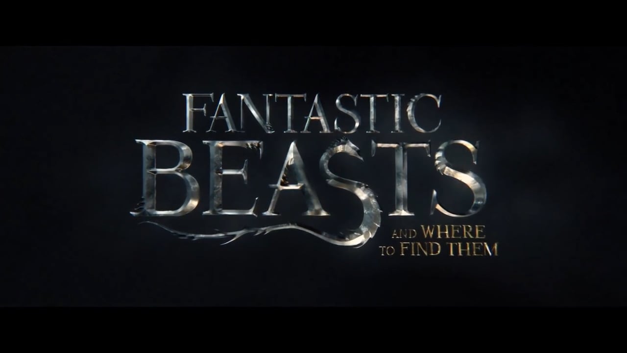 3 Easy DIY Fantastic Beasts Costumes For Opening Night