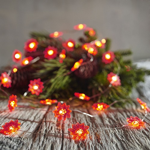 Red Poinsettia 10' LED Glimmer Strings