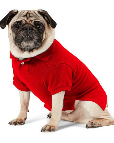 Ralph Lauren Big Pony Cotton Dog Polo
