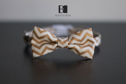 Glam Gold Cat Collar