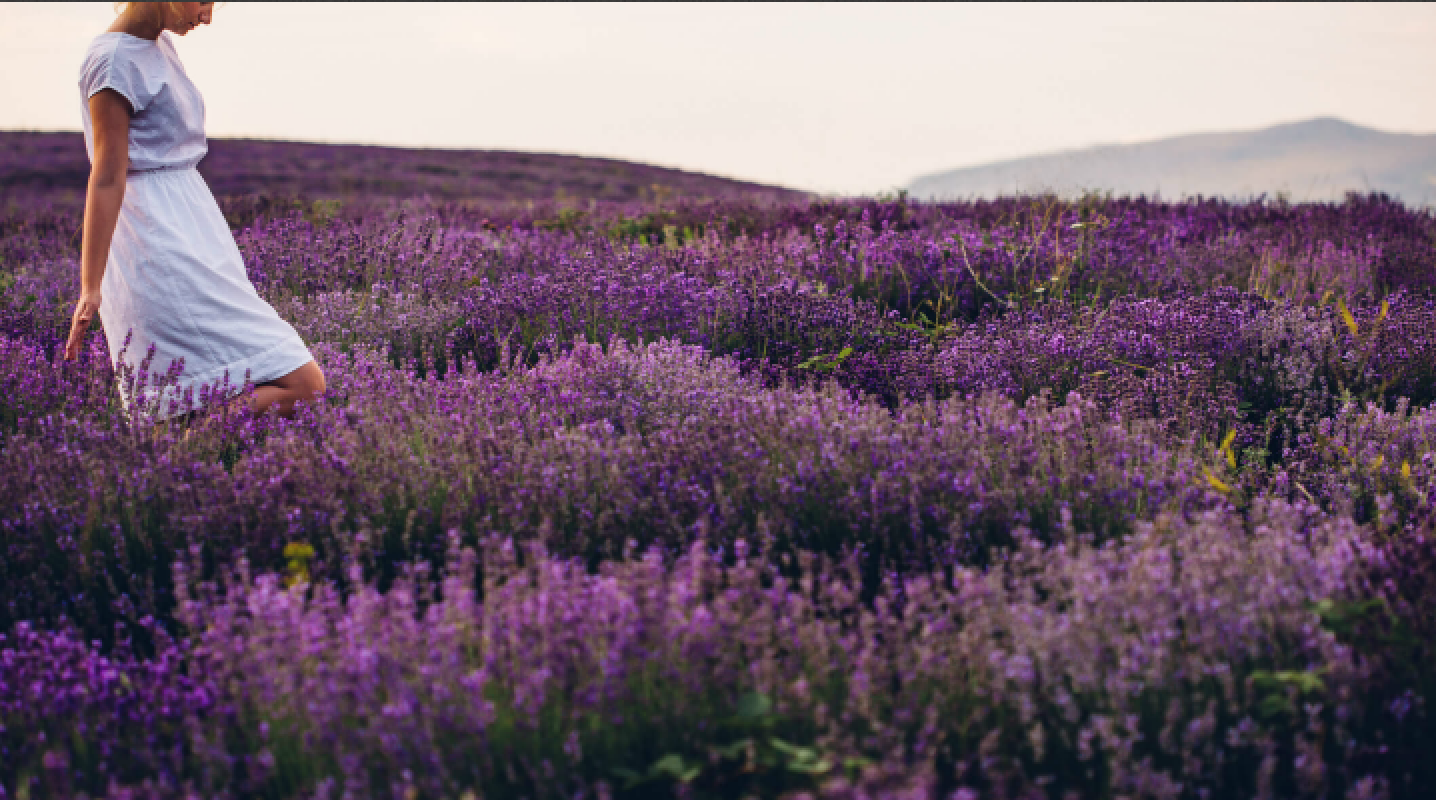 Working With Ultra Violet, Pantone’s 2018 Color of the Year