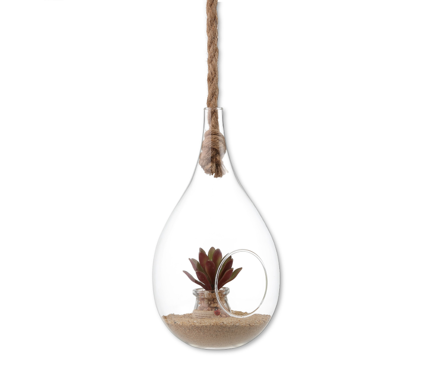 Danya B. Glass Teardrop Hanging Planter with Rope