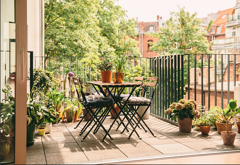 How to Create an Outdoor Oasis for Under $250