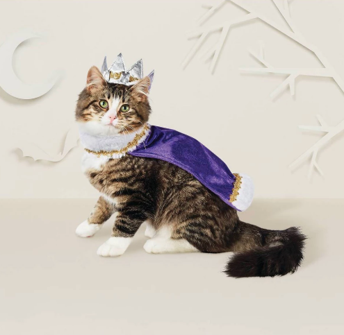 King or Queen Cat Costume