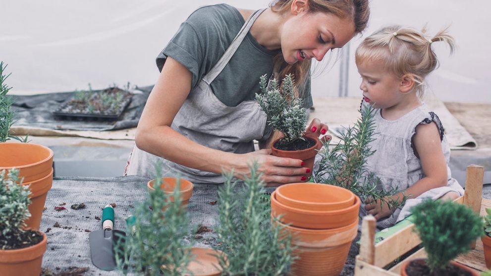 4 Reasons You Need Your Own Garden & How to Do It