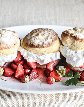 JIM BEARD'S SHORTCAKE