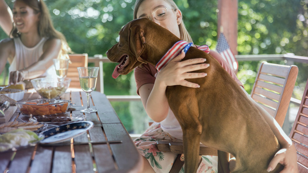 Five Tips to Protect Your Pet During Fireworks