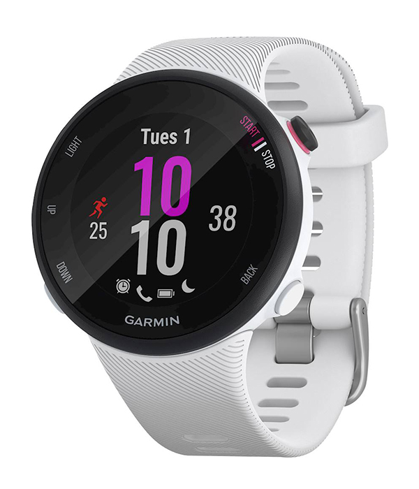 Garmin Forerunner 45S GPS Running Smartwatch