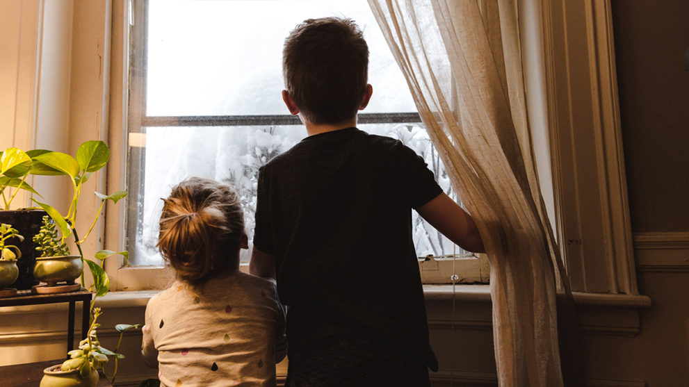 The 7 Best Sites and Services to Get Supplies Without Leaving Your Home