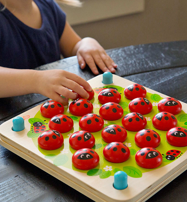 https://www.fatbraintoys.com/toy_companies/fat_brain_toys/ladybugs_garden_memory_game.cfm