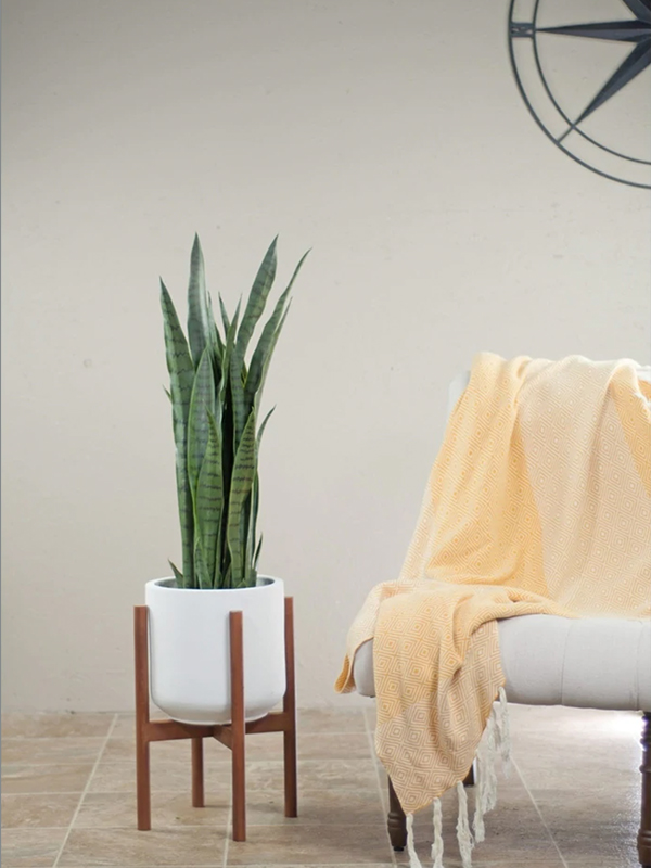 Mid-Century Modern Fiber Clay Planter