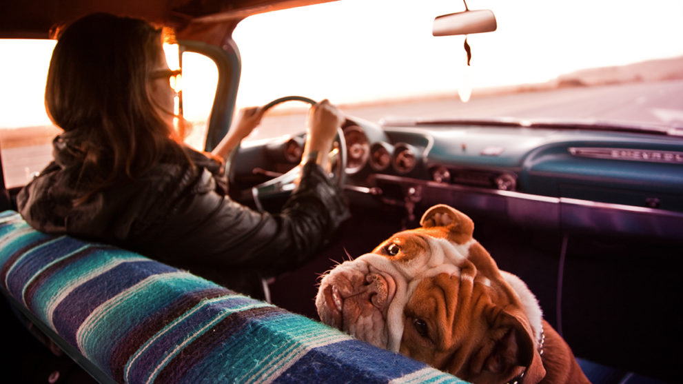 Best Long Weekend Road Trips from 7 Major Cities
