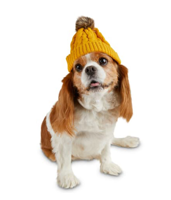 Bond & Co. Furry Pom-pom Mustard Dog Beanie