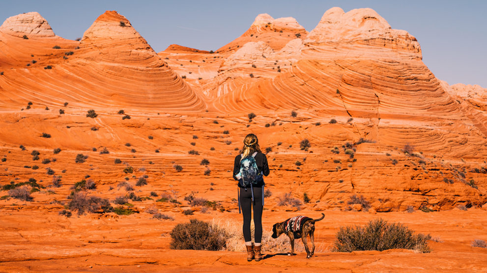 The Major Differences Between Travel Booking Sites You Should Know