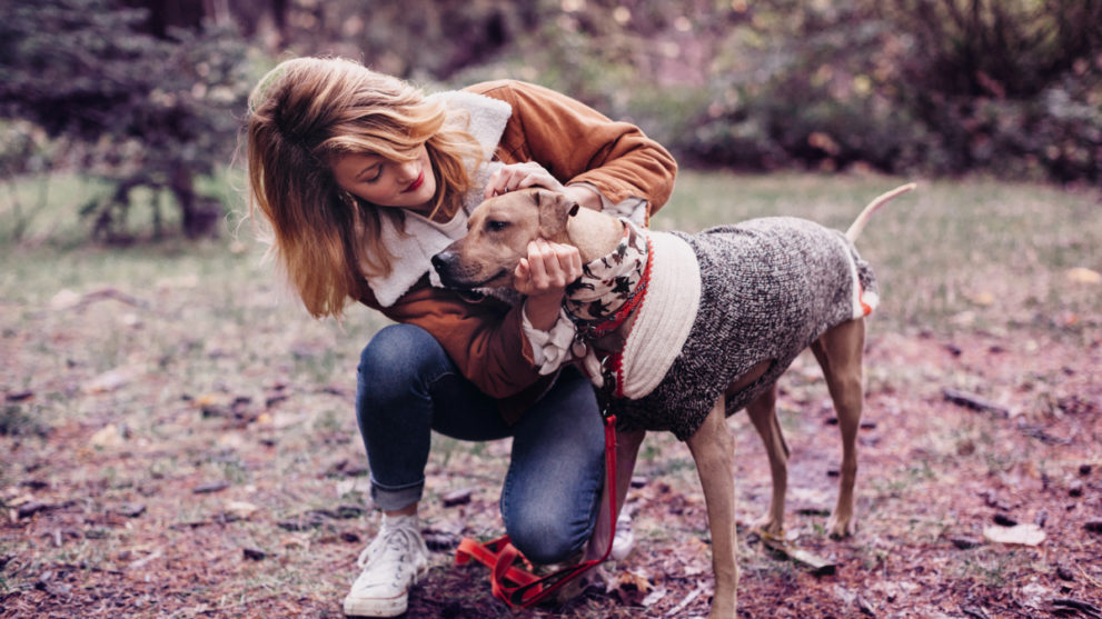 What is the Best Subscription Box for Your Dog?