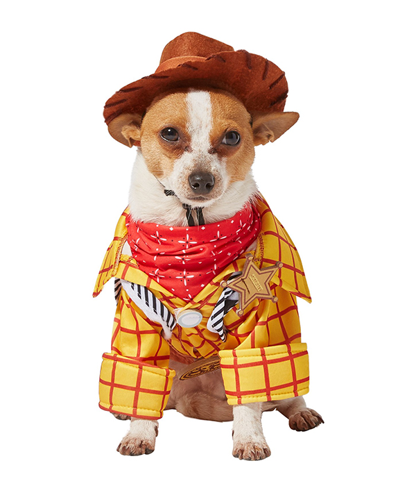 Woody dog costume