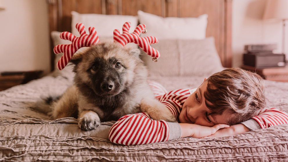 Matching Holiday Pajamas for the Whole Family