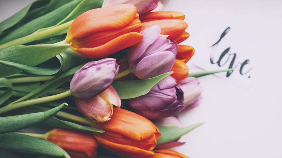 Tulips