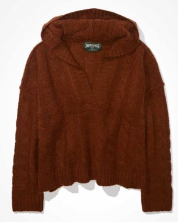 AE Soft and Cozy Hoodie Sweater