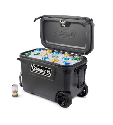 Dicks Sporting Goods Coleman's Cooler