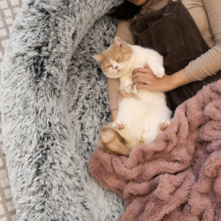 funnyfuzzy large human dog bed