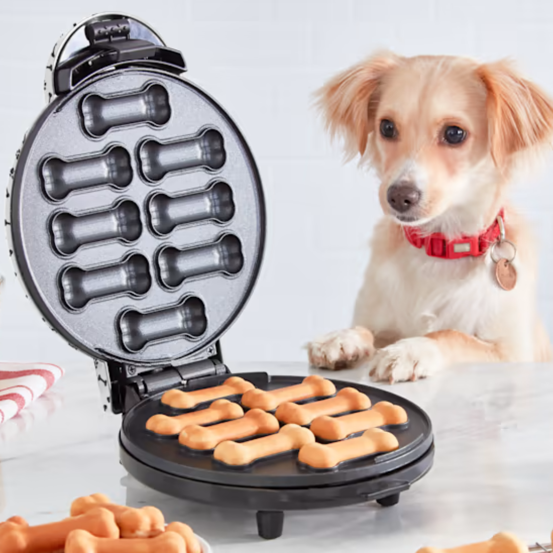 petco dash express dog treat maker