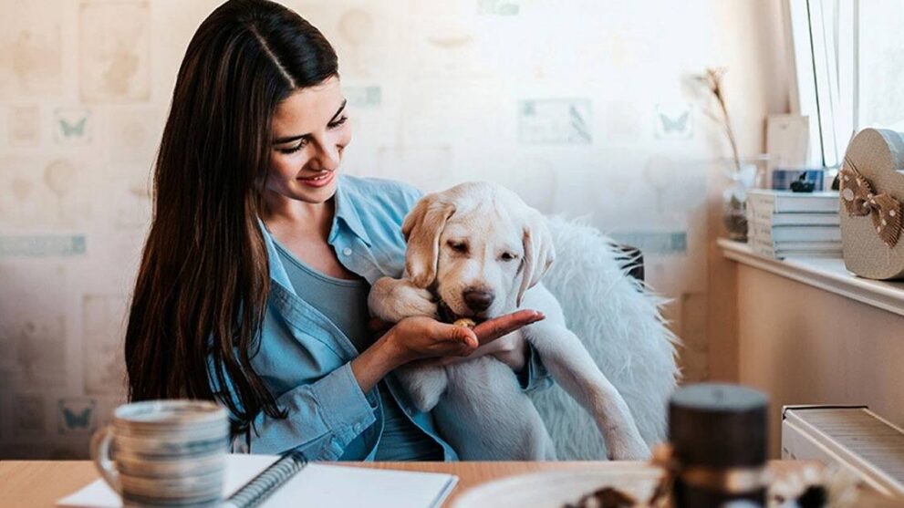 How to Save Money on Chewy Pet Supplies in 2026